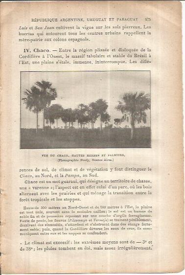 LAMINA V00105: Palmeral en Argentina