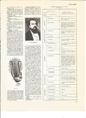 LAMINA V00934: Nicolas Avellaneda