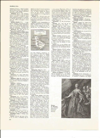 LAMINA V00947: Barbara de Braganza por Crivellari