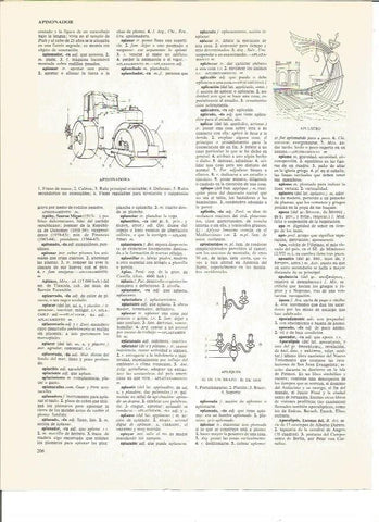 LAMINA V00913: Partes de una apisonadora y aplustro