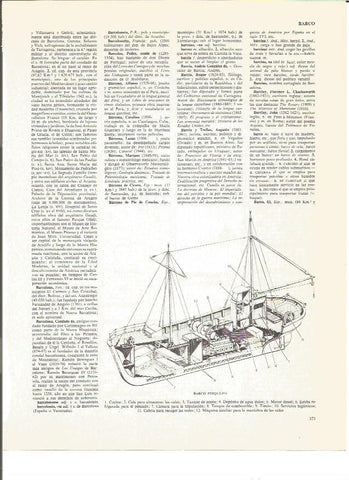 LAMINA V00949: Partes de un barco pesquero