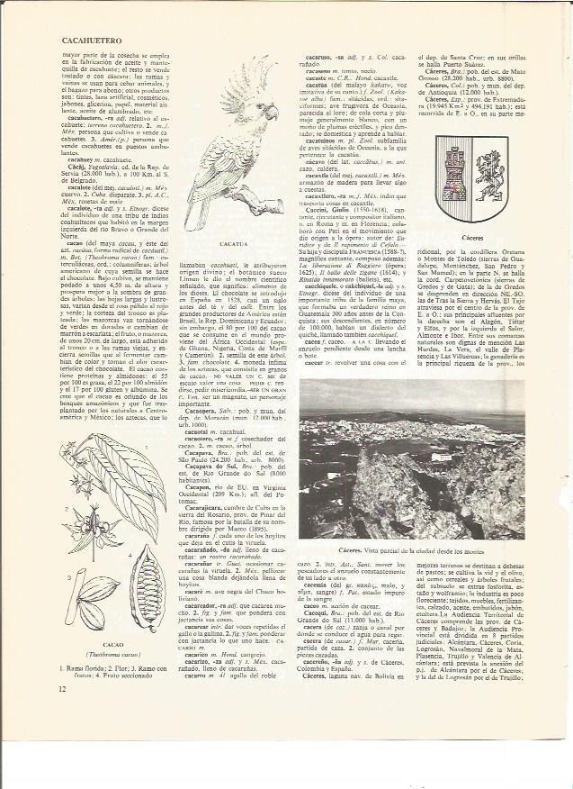 LAMINA V00981: Escudo y vista parcial de Caceres
