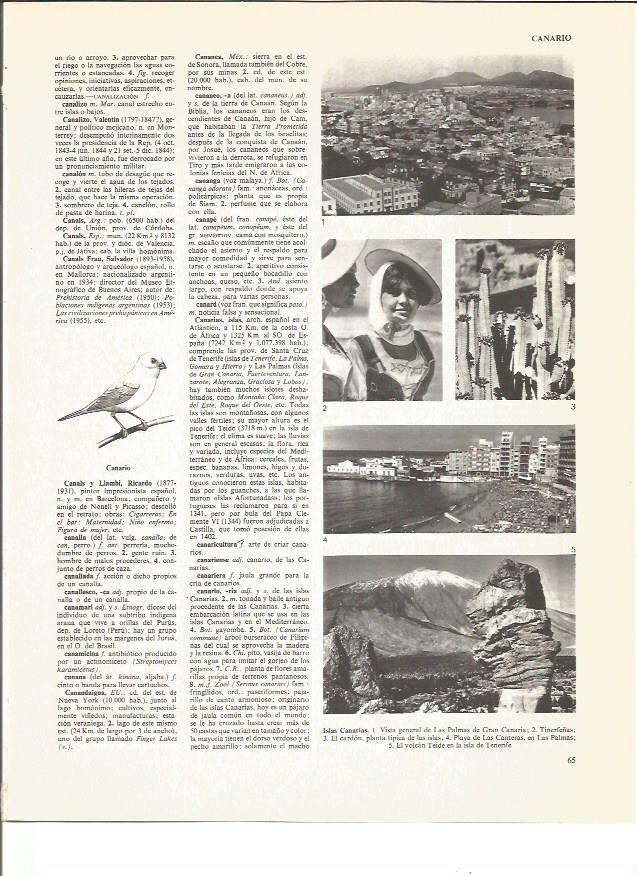 LAMINA V00996: Vistas varias de Las Islas Canarias