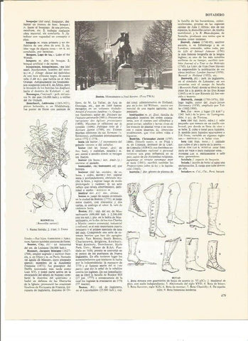 LAMINA V00974: Monumento a Paul Revere en Boston