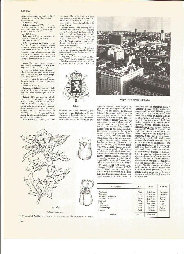 LAMINA V00958: Escudo de Belgica y vista parcial de Bruselas
