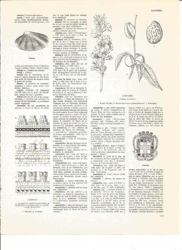 LAMINA V00902: Escudo de Almeria y tipos de almenas