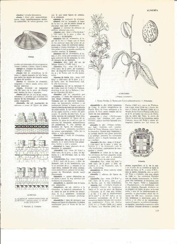 LAMINA V00902: Escudo de Almeria y tipos de almenas