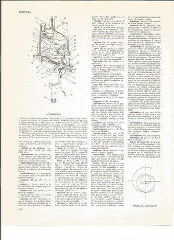 LAMINA V00839: Partes de un espinterogeno