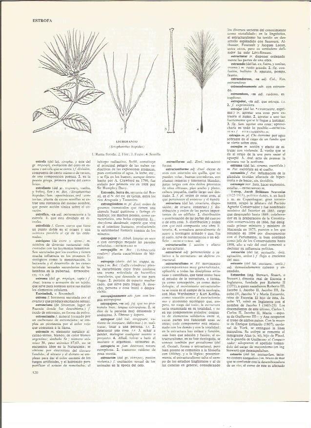 LAMINA V00849: Partes del estrofanto