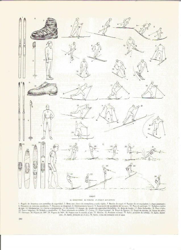 LAMINA V00841: Esqui de descenso, de fondo y acuatico