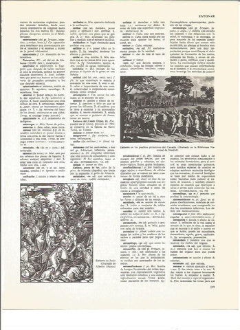 LAMINA V00828: Entierro de Jesus grabado de Alberto Durero