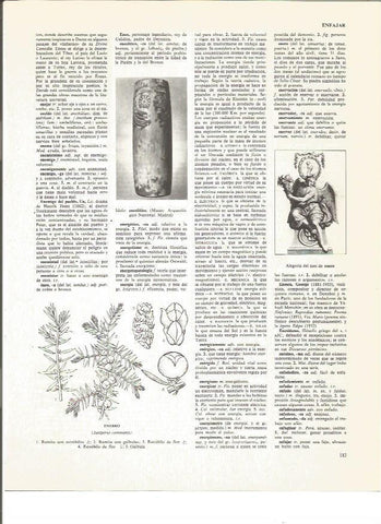 LAMINA V00825: Alegoria del mes de enero
