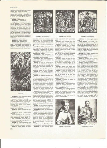 LAMINA V00826: Enrique I de Portugal y Enrique II de Francia