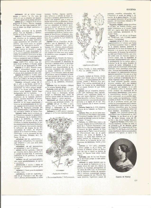 LAMINA V00851: Eugenia de Montijo