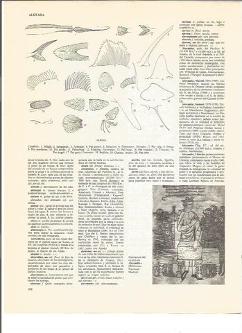 LAMINA V00898: Ilustracion del Libro de Alexandre