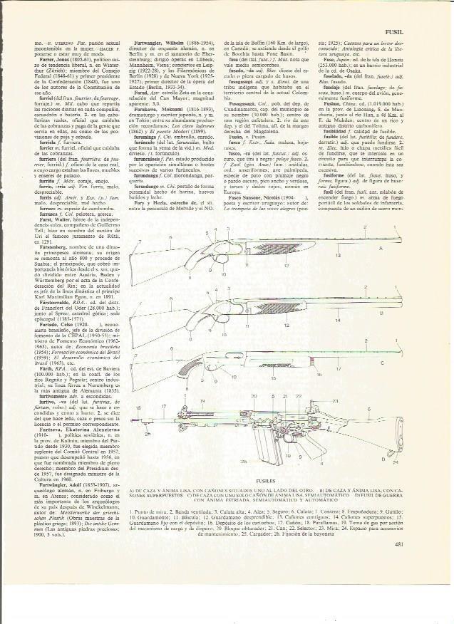 LAMINA V00877: Tipos y partes de un fusil