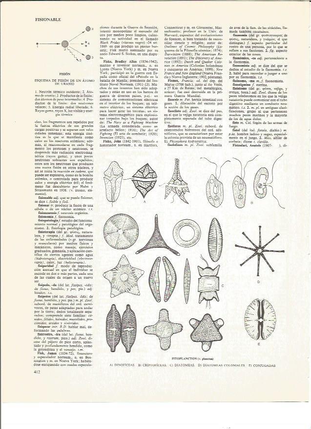 LAMINA V00859: Fitoplancton