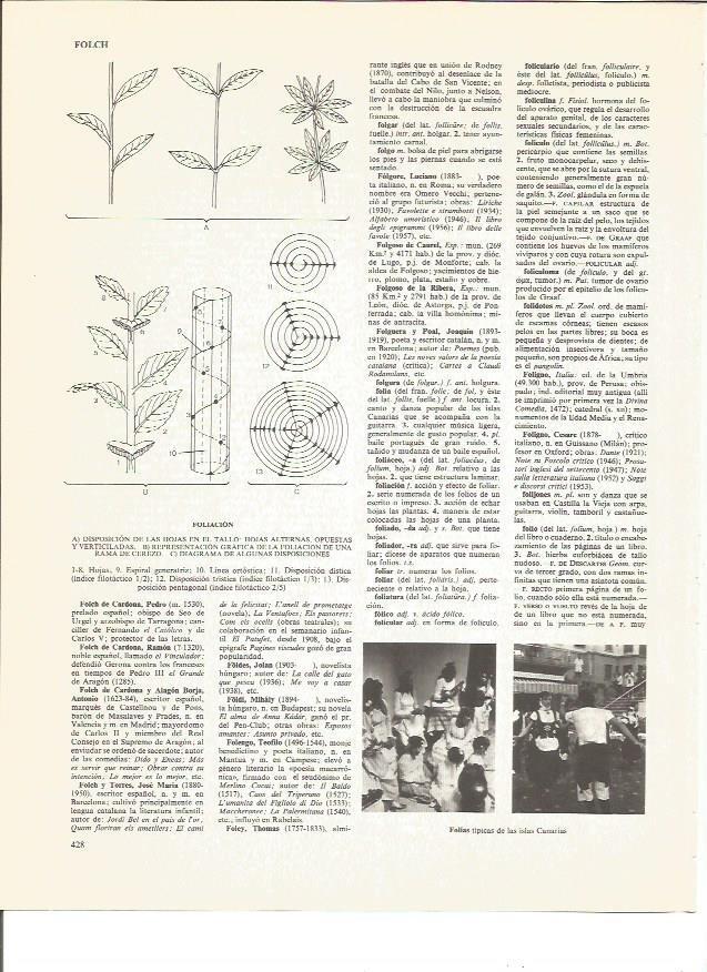 LAMINA V00863: Folias tipicas de las Islas Canarias