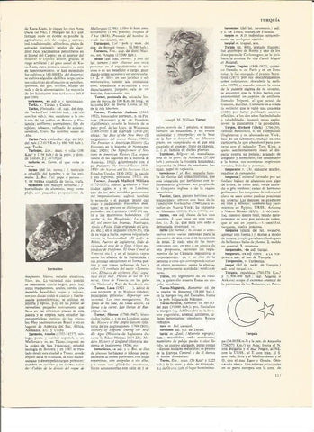 LAMINA V01137: J.M. William Turner