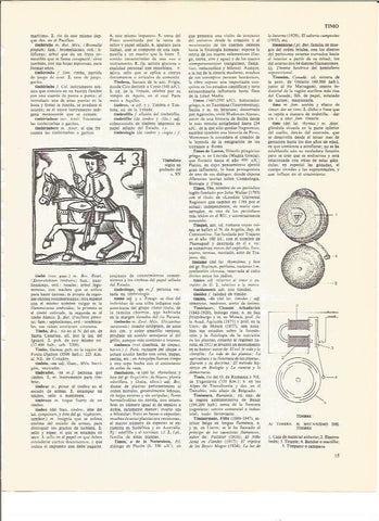 LAMINA V01153: Grabado de un timbalero del siglo XV