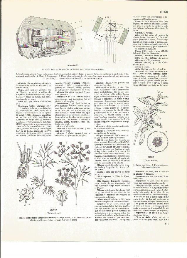 LAMINA V01031: Vista del aparato y esquema de funcionamiento del ciclotron