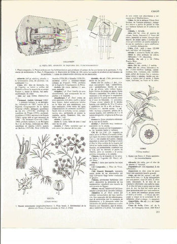 LAMINA V01031: Vista del aparato y esquema de funcionamiento del ciclotron