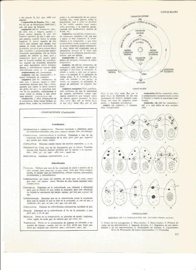 LAMINA V01060: Conjuncion superior y esquema de la conjuncion del ciliado