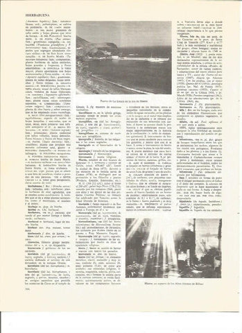 LAMINA V00535: Vista Altos Hornos de Bilbao