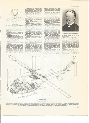 LAMINA V00533: Helicoptero Augusta-Bell A.B.205