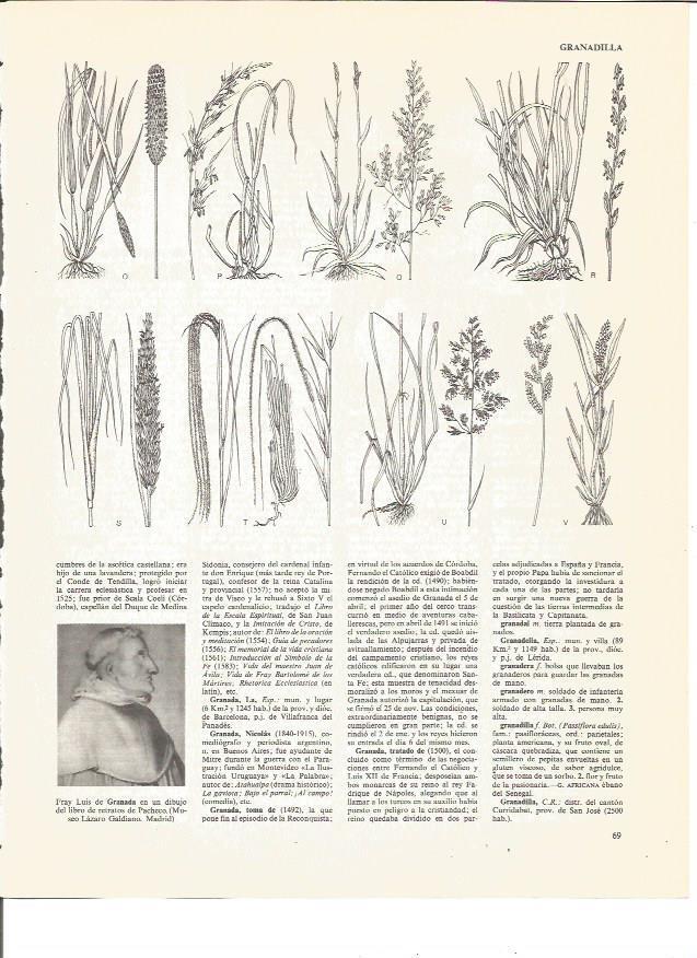 LAMINA V00514: Dibujo de Fray Luis de Granada por Pacheco