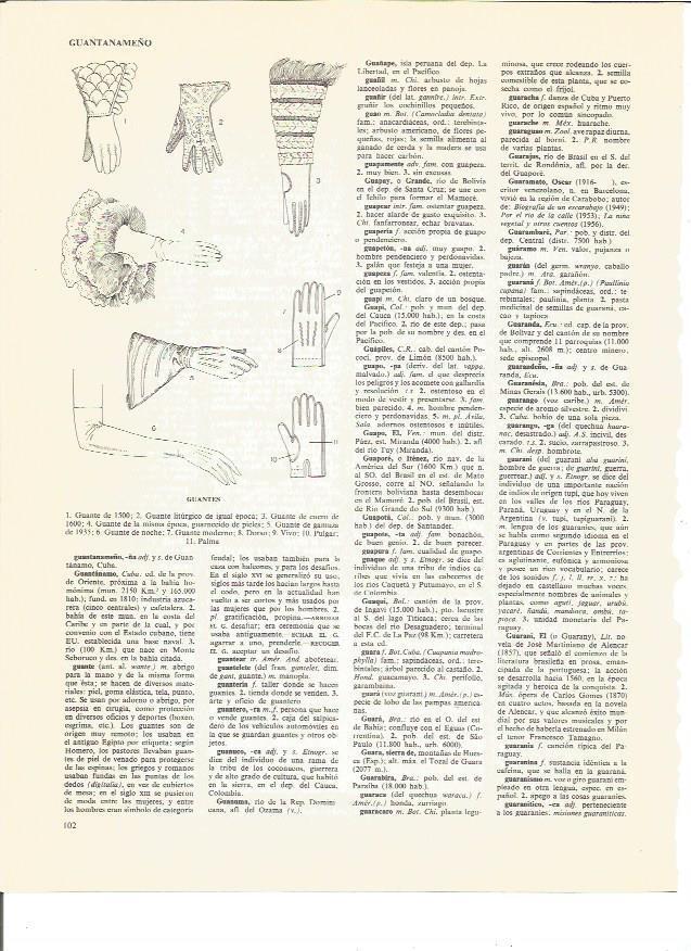 LAMINA V00521: Tipos de guantes