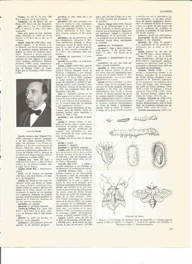LAMINA V00523: Fases del gusano de seda