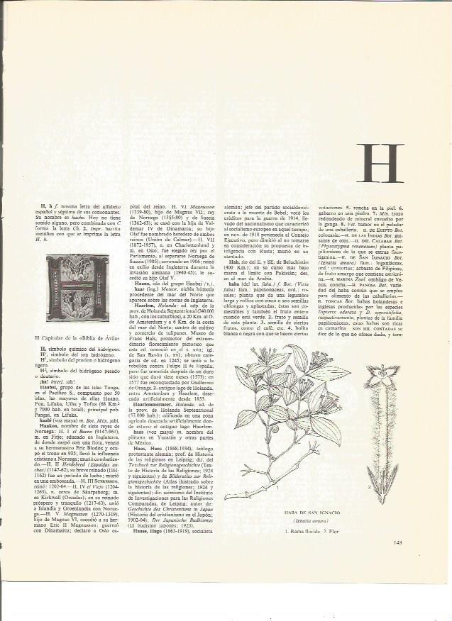 LAMINA V00525: Capitular de la Biblia de Avila