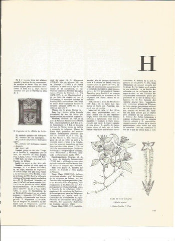 LAMINA V00525: Capitular de la Biblia de Avila
