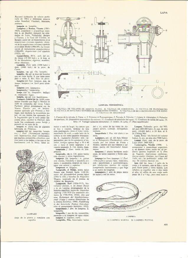 LAMINA V00593: Partes de una lampara termoionica