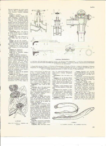 LAMINA V00593: Partes de una lampara termoionica