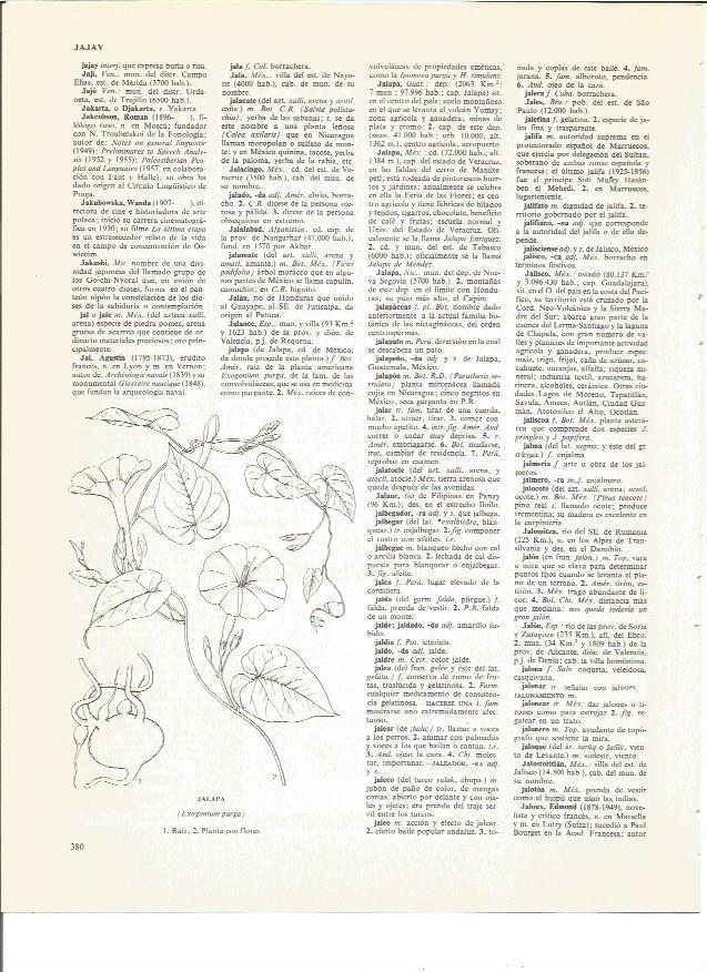 LAMINA V00570: Partes de la jalapa