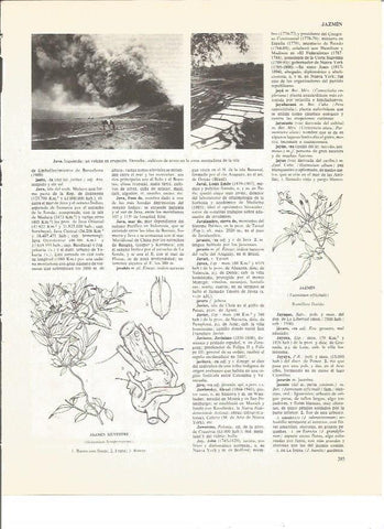 LAMINA V00576: Vistas de Java, Indonesia