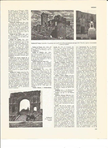 LAMINA V00451: Grabado Castillo de la Mota en Valladolid