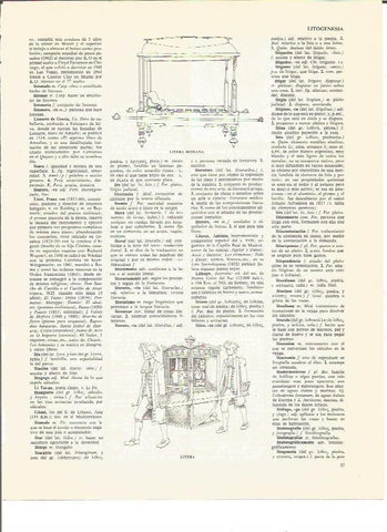 LAMINA V00418: Tipos de litera
