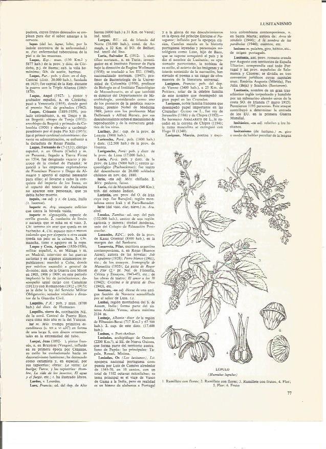 LAMINA V00422: Lupulo