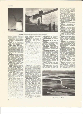 LAMINA V00434: Vistas de La Mancha