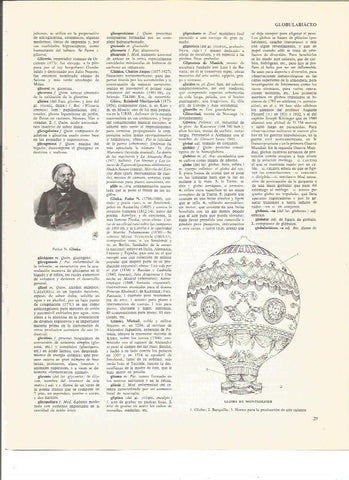 LAMINA V00509: Globo de Montgolfier y Fedor  N. Glinka