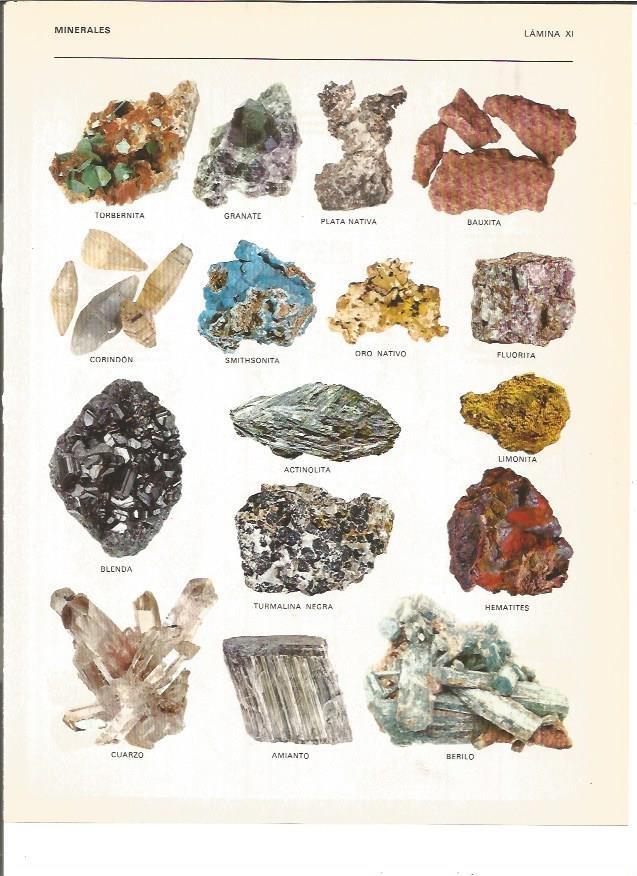 LAMINA V00465: Minerales