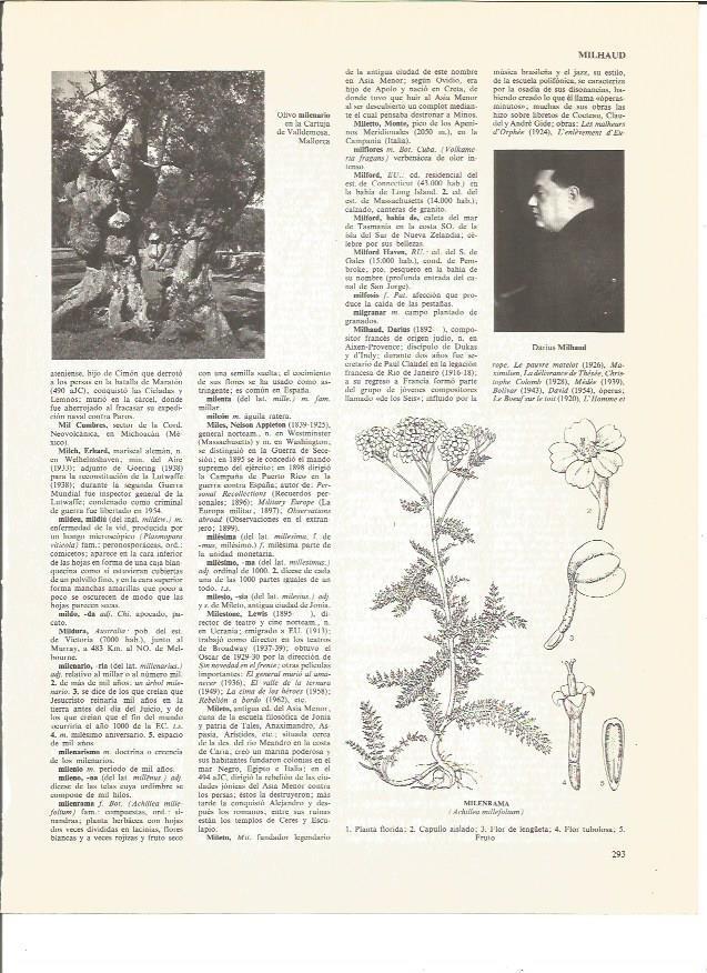 LAMINA V00466: Olivo en la Cartuja de Valldemosa y Darius Milhaud