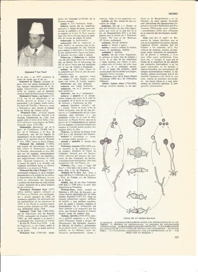 LAMINA V00469: Mohamed V ben Yusef