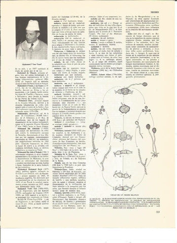 LAMINA V00469: Mohamed V ben Yusef