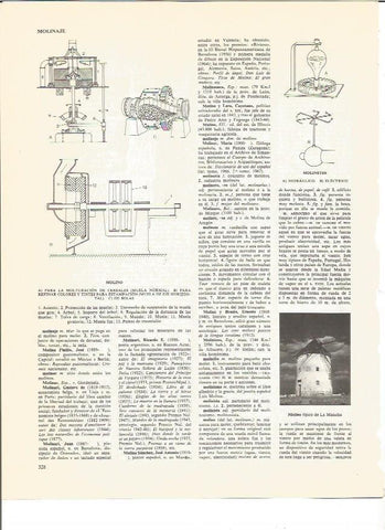LAMINA V00470: Tipos de molino