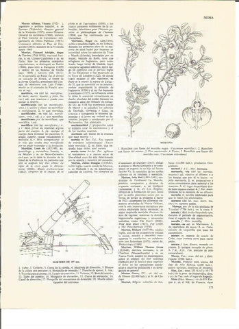 LAMINA V00475: Partes de un mortero de 107 mm