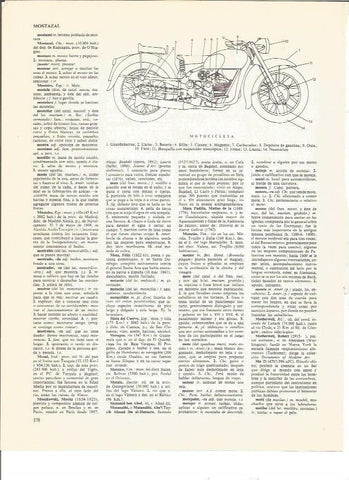 LAMINA V00476: Partes de una motocicleta